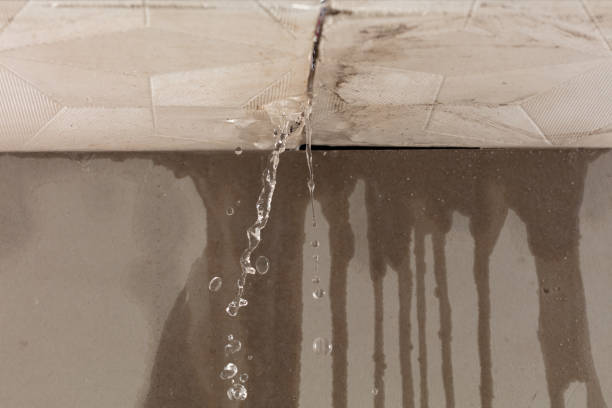 Professional Structural Drying technician working in Bailey, CO
